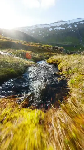 For years, I have been obsessed with discovering new ways to film with a drone 🚁 Flying fast is often much easier than flying slow, but slowing down opens up exciting new possibilities for capturing nature’s beauty 🌊 What do you think of this shot? Would you like to see more rivers? #iceland #fpv #drone #river #calm #nature 
