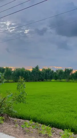 Bên kia bên này bay giờ tuy gần mà xa 😌#nhachaymoingay #dancamientay #dancatrutinh #phongcanhhuutinh #bolerohaynhat #canhdepmientay #TungNT62LA 