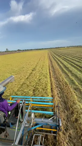 🌾🌾🌾#ปเจริญการช่าง #ท้ายรีสอร์ท🔰 #ฟีดดดシ 