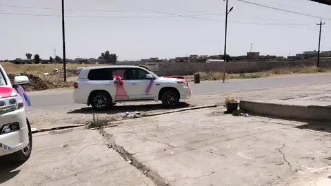 #المصور #عبد الحي الشبكي 2024#لايك #متابعه #اكسبلور #موصل_بغداد_كركوك_حله_نجف_بصره 