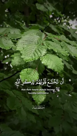 ألم يأنِ للذين آمنوا أن تخشعَ قلوبهم لذكر الله | الشيخ #عبدالباسط_عبدالصمد #قران #اكسبلور 