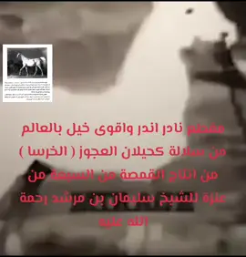 #قبايل #عنزه #سبعه_عنزه #foryou #foryoupage #ويلان #fyp #viralvideo #نجد 