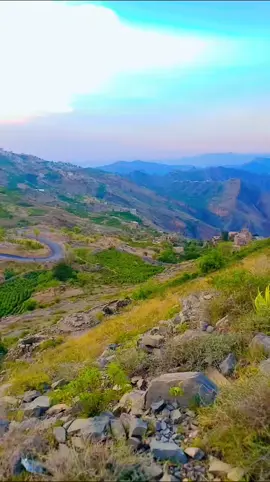 من بلادي الحبيبه