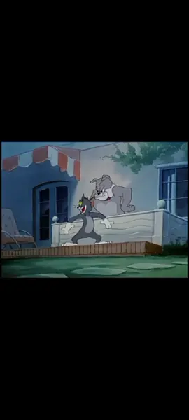 cắt tỏ tính ny #anime #tom #jerry 