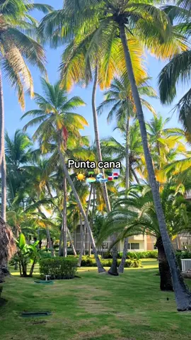 This is where ive been for the past couple of days 🤭 Punta cana 📍 #puntacana #dominican #dominicana #dominicanrepublic #dominicanrepublic🇩🇴 #dominicanrepubliccheck #DR #republicadominicana #puntacanaresort #puntacanavacation #allinclusive #allinclusiveresort #resort #resorts #tropical #traveltiktok #traveltok #caribbean #caribbeantiktok #vacation #vacationvideos #traveling #travelvideo #vacationvibes #caribe #caribbeantiktok #puntacanavacation #traveling #travelvideo #travelvideos #paradise #palladium 