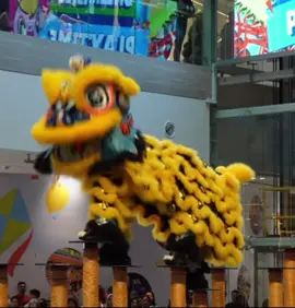 🇲🇾 2024 2nd Acrobatic Lion Dance Championship @ Central I City  🇲🇾 2024 第二届全国高桩狮王争霸赛 @ 尚泰广场 沙巴山打根忠誠龍獅協會 （弘德） 不予評分 愿伤者早日康复💪💪💪 Wish the injured a speedy recovery never give up #马来西亚 #malaysia #malaysiatiktok #liondance #mualan #tariansinga #barongsai #醒獅 #醒狮 #舞狮 #liondancer #liondanceperformance #liondancecompetition #liondancelife #高桩 #高桩舞狮 #高桩舞狮🦁 #高桩舞狮表演 #舞狮生活 #舞狮比赛 #舞狮表演 #舞狮运动 #liondancemalaysia #liondance2024 #múalan #múalan2024 #lansurong #lansurong2024 #liondancing   #liondancedrum #liondancedruming  #barongsaitiktok #barongsai2024 #传统 #传统文化 #traditional  #台上一分钟台下十年功   #respect #传统器材阵式 #传统南狮器材表演 #沙巴 #sabah #sabahancrew_fams #sabahantiktokers #sabahan #sabahantiktok #sabahtiktok #sandakan #sandakantiktok #sandakansabah #弘德 #沙巴山打根 #山打根 #沙巴山打根忠誠龍獅協會 #nevergiveup #危险动作请勿模仿 