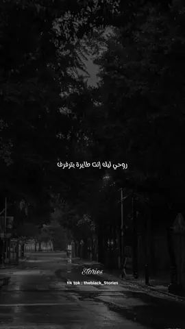 روحي ليك إنت طايرة بترفرف #اغاني #عمرو_دياب #الطعامه ##stories #تصميمي #video_edit #ترند #مشاهدات #تصميم_فيديوهات🎶🎤🎬 