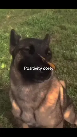Positivity> #positivity #hopecore #positivitycore #wholesome #viral #fyy #fyl 