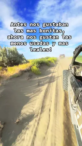 #corridos #canam #Summer #dunes #trendingvideo #friends #loyal #girls #fyp #summer2024 #belicones😈📿☘️ #relateable #offroad 