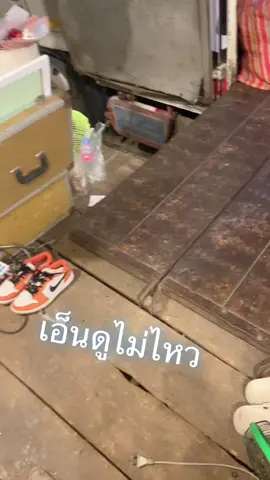 ไม่แกงนะ แต่เอ็นดู🤍 @Prachaya Bu #พรีเซนเตอร์thanier #ฟีดดดシ #ศรรามน้ําเพชร #Thanier #เอสปราชญา  #คนของใจ 