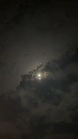 #awan #bulan #purnama #langit #malam #langitmalam #timelapse 