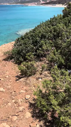 #عيد_مبارك_سعيد #راس_هلال_ليبيا_الجبل_الاخضر #راس_هلال #الشعب_الصيني_ماله_حل😂😂 #foryou #fybシ 