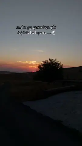 Hiçbir şey göründüğü gibi değildir bu hayatta.....🕊☀️#Batman #doğatutkusu #güneşinçocukları #gunbatmi #kesfet #guzelsozlersayfasdir 