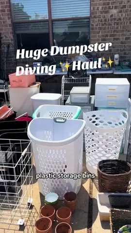 Our huge haul from dumpster diving during college move out! Unreal 🤯 #dumpsterdiving #donatedontdump #dumpsterdiver #dormlife #haultok #reducewaste 