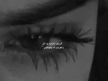 🖤. #foryou #Sh4tww99 #fypシ゚viral #actives? #fypシ #kurdistan #sulaymaniyah @TikTok @TikTokCreators_ID 