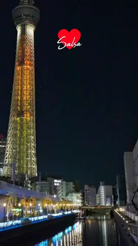 Volveré #salsabaul #salsaromantica #Salsa #musica #fypシ #fyp 