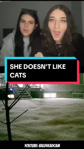 SHE DOESN'T LIKE CATS #foryou #fyp #baldheadcam #ometv #ometvprank #funny #meme #wholesome #hilarious #laugh #laughter #microwave 
