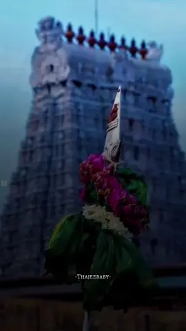 #mannanalum_thiruchenduril_mannaven #மண்ணானாலும் #முருகன் #muruga #muruganthunai #thajeebaby #treanding 