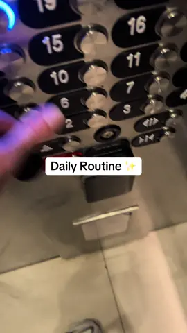 Daily Routine