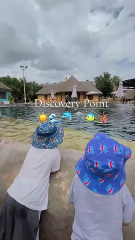 SeaWorld discovery point ☀️🌊🐬🪸 ##seaworld##seaworlddiscovery##discoverypoint##Summer##waterpark##summertime##smallcontentcreator##sahm##toddlermom##boymom