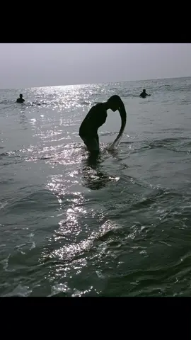 වනජීවී කැමරා කාචයේ සටහන් පිළිහුඩුවා 🐦😅