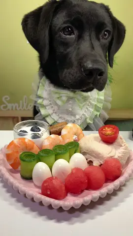 #labrador #Foodie #pets #dog #cute 