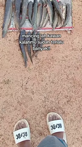 #fyp#fyp #tiktok#storymancingmania #anglerriausalamsatujoran🤗🎣 #macingmaniamantap #xyabca #4u #anglearindonesia 