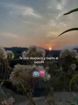 # voyaquerertecadadiamas💕#💕💕💕💕 