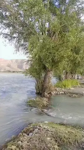 da sen pa ghara raza janana#eidmubarak #fyppppppppppppppppppppppp #😘😘😘 #foryoupage #unfreezemyacount #500k #standwithkashmir #fypシ゚viral #@❤️Jamal khan❤️ @alinawab1122 @Zahid Wazir 