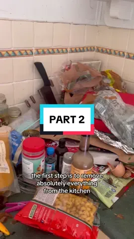 PART 2 🤭 #hoarderclean #satisfying #followformore #CleanTok #youngbusinessowner 