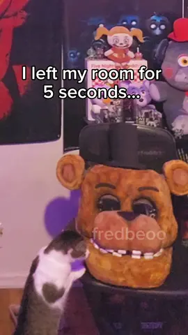 her name is Nala btw  she is reenacting the max scene in the movie @Kat Conner Sterling  #fredbeoo #fivenightsatfreddyscosplay #freddyfazbear #springtrap #halloween #fivenightsatfreddys2 #accuratefnafcosplay #witheredfreddy #robot #fnafinreallife #fnaf2movie #springtrap #cosplay #build #reveal #fnaf #fivenightsatfreddy #viral #fyp  #williamafton #fnaf #goldenfreddy #freddy #witheredfreddy #cosplay #fivenightsatfreddys #suitup #witheredfreddycosplay #cat #cars #catsoftiktok #cats #cattok #meme 