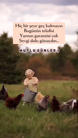 Sevgi ve mutluluk dolu günaydın..🥰 .#keşfet #keşfettt #keşfetteyiz #kesfet #tiktok #günaydın #günaydınn #günaydınmesajı #günaydınlarrrr #günaydınvideoları #yenigünebismillah🤲❤️🌸🌹 #gün #yeni##mutlugün #mutlugünler #mutlugünlerinizolsun #mutlugünler🌹 #mutlugünümüz #huzurlugünler☕️🌸🌷🦋 #huzurlugünler #huzurlugünler🌷🦋🌸 #huzurlugünler☕️🍁🍂🤗 #tiktokindia #CapCut 