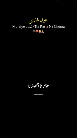 Eid e gadeer coming soon part 3| 3 bekry reh gai hn jin k khal eid e gadeer pr utray gi😇🤣 #trendingvideoviral #foryoupageofficiall #foryou #fypviralシ #newaccountplzsupport #trendinghsounds 