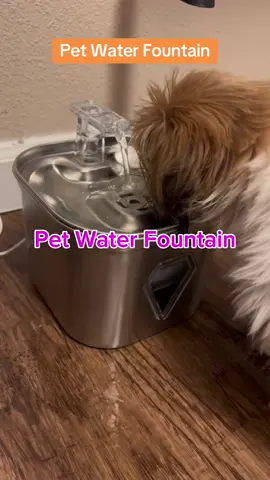 #petwaterfountain #dogwater #PetsOfTikTok #tiktokshop 