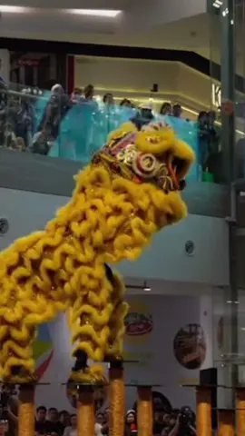 🇲🇾 2024 2nd Acrobatic Lion Dance Championship @ Central I City  🇲🇾 2024 第二届全国高桩狮王争霸赛 @ 尚泰广场 冠军 Champion🏆🥇🥇🥇 Kelapa Sawit Wen Qing  柔佛沙威文青龙狮团 冠军🏆 🌪️🌪️🌪️swing👏👏👏坚持💪💪 Champion🏆🌪️🌪️🌪️swing👏👏👏persistence💪💪 @Leo  Lai  #马来西亚 #malaysia #malaysiatiktok #liondance #mualan #tariansinga #barongsai #醒獅 #醒狮 #舞狮 #liondancer #liondanceperformance #liondancecompetition #liondancelife #高桩 #高桩舞狮 #高桩舞狮🦁 #高桩舞狮表演 #舞狮生活 #舞狮比赛 #舞狮表演 #舞狮运动 #liondancemalaysia #liondance2024 #múalan #múalan2024 #lansurong #lansurong2024 #liondancing   #liondancedrum #liondancedruming  #barongsaitiktok #barongsai2024 #传统 #传统文化 #traditional  #台上一分钟台下十年功   #respect #传统器材阵式 #传统南狮器材表演 #沙威文青龙狮团💕 #沙威文青🦁  #champion 
