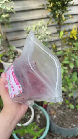 Dried Strawberry #strawberry #driedstawberry 