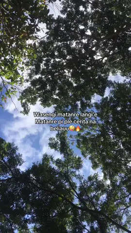 hha 😂 #berandatiktok #kontenji #katakatabugis #storybugis #tiktokbugis #viraltiktok #sulawesiselatan 