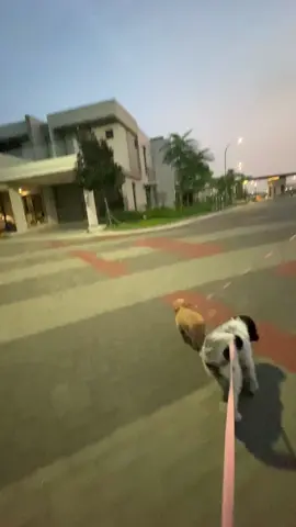 Bawa anak anak jalan pagi keliling komplek rumah 🥰 Senang banget ya kalian, jam 5 pagi udah bangun  #pik 