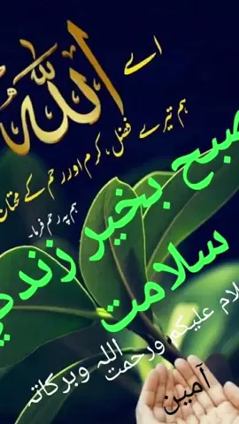 #quran 