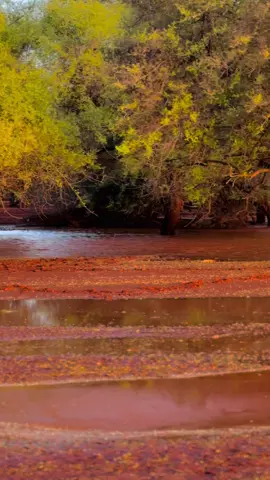 Hawd wali Ma Gaadhey?#Taalobuur#❤️🤍💚🇪🇹 #somalilandtiktok💚🤍❤ #somaliland #balidhiig🏡❤️ #nagiibgodane #burco_gobalka_ragga 