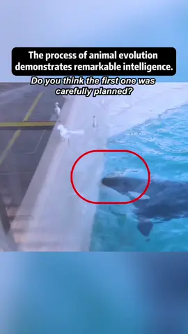 #realstory #fyp #funny #morbid #rescue #fouyou 