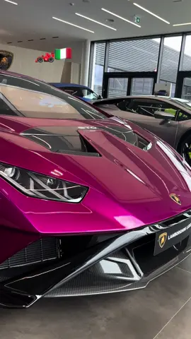 🏎️Lamborghini huracán STO🏎️ 🇮🇹In Lamborghini Luxembourg 🇮🇹 #lamborghini #huracan #sto #pink #Love #self #luxury #life #garage #lambo #passion #exotic #carspotting #cars #carspotters #happy #color #viral #viralvideo #video #like #grow #fyp #f #satisfying #beauty #dream #dreamcar #auto #automotive #feed @renaudcarsspotting_ ❤️