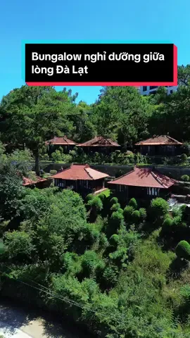 Khu Bungalow lưu trú đẹp, thiên nhiên giữa lòng Đà Lạt rất thích hợp nghỉ dưỡng chữa lành #dalat #ongboreviewdalat #dalatreview #reviewdalat 