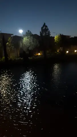 #اغانى_موسيقى  #fyp  #على_حسب_وداد #عبد_الحليم_حافظ #تصميم_فيديوهات  #mostafarabie 