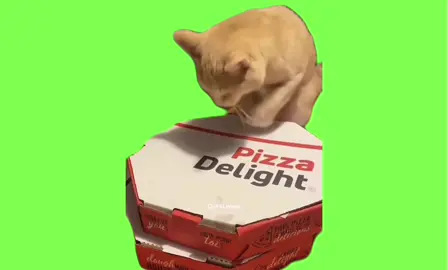 ピザやー😻 #ミーム #fotyou #ピザ #ごはん #capcut 