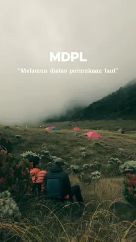 melamun di surken + kabut #mdpl #pendaki #gunung #sadvibes #alunalunsuryakencana #foryou