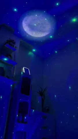 Me every night bago matulog Habang minamasdan Ang ilaw na to with music #night #projector #light #room 