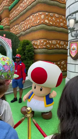 toad gets it like that  #toad #dance #universalstudios 