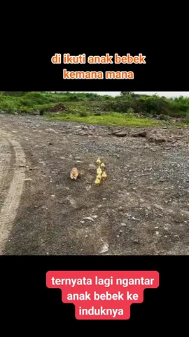 #Oyen🤣🤣🤣🤣🤣 