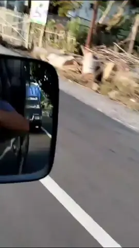 #fyp #kajitoyek #masukberanda #4u 